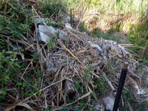 IMG_20160425_094025 (2)