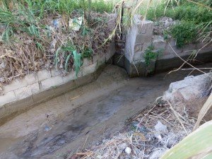 IMG_20160425_094039 (1)