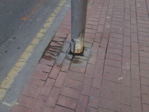 IMG_20160504_105313 (1)
