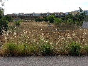 IMG_20160513_100227