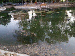 img_20160622_213757