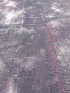 IMG_20160708_121706