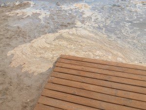 IMG_20160821_105155