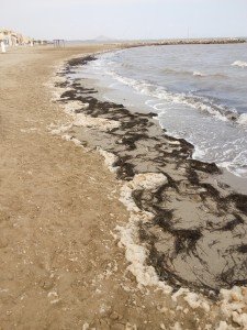 IMG_20160821_110445